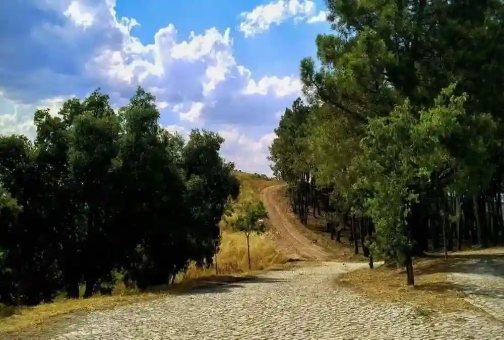 Paisagem em Mirandela.