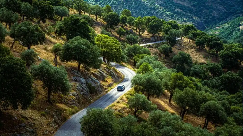 Estrada cénica sinuosa no interior