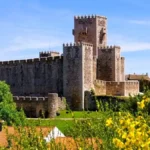 Detalhe de flores coloridas em primeiro plano com as muralhas e torres do Castelo do Sabugal desfocadas ao fundo.