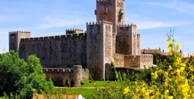 Detalhe de flores coloridas em primeiro plano com as muralhas e torres do Castelo do Sabugal desfocadas ao fundo.