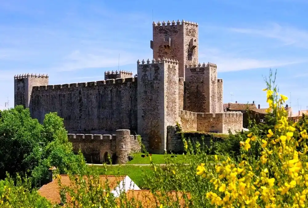 Detalhe de flores coloridas em primeiro plano com as muralhas e torres do Castelo do Sabugal desfocadas ao fundo.