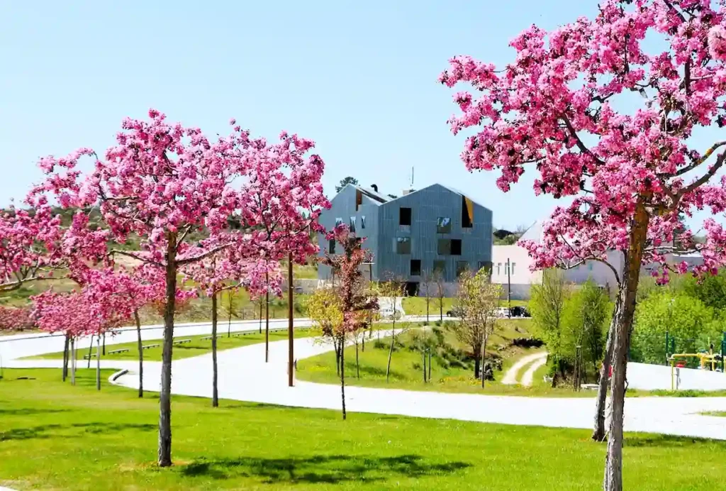 Caminho curvo rodeado por árvores em flor junto a um edifício moderno, num espaço exterior tranquilo de alojamento em Rapoula do Côa, Sabugal