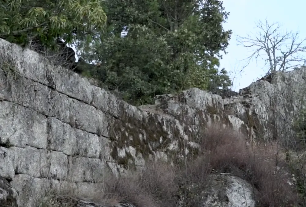Detalhe de uma muralha antiga de blocos de granito cobertos por musgo e líquenes, com árvores ao fundo em Vila do Touro.
