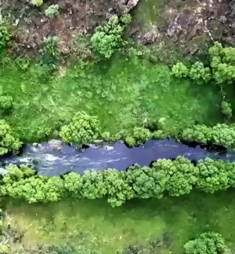 Vista aérea do Vale do Côa mostrando o rio no centro, cercado por encostas íngremes e cobertas por vegetação densa e variada em tons de verde.
