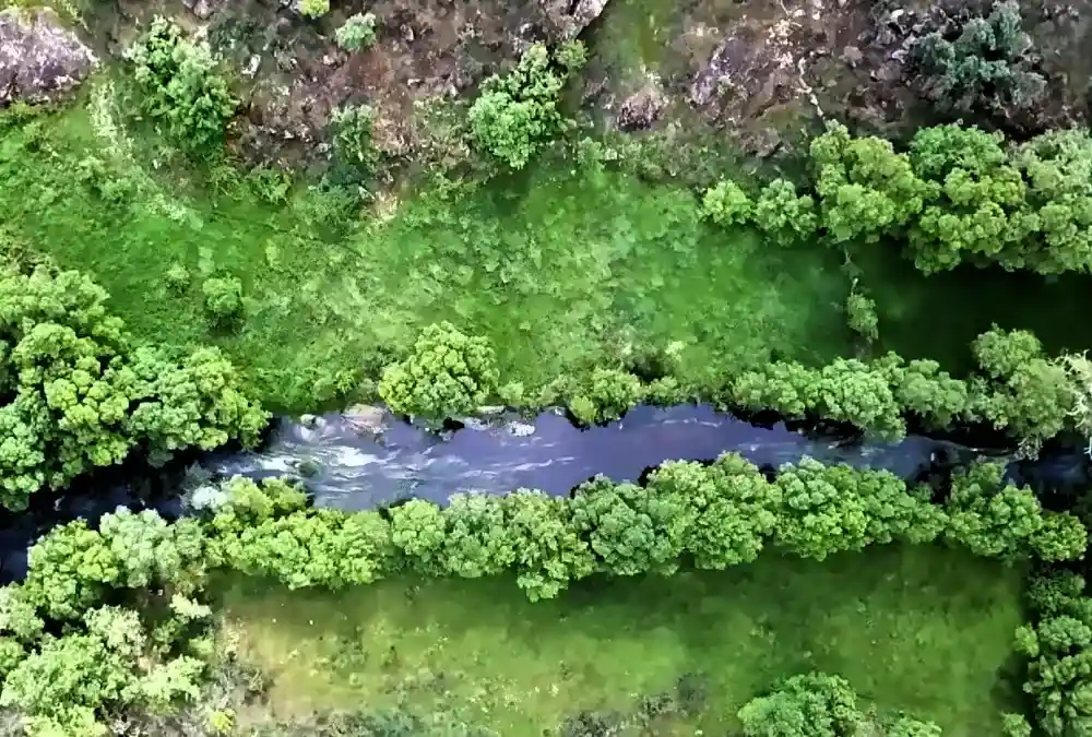 Vista aérea do Vale do Côa mostrando o rio no centro, cercado por encostas íngremes e cobertas por vegetação densa e variada em tons de verde.