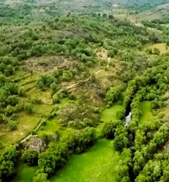 Vista aérea mostrando um vale verdejante na Serra da Malcata com um rio estreito entre árvores.