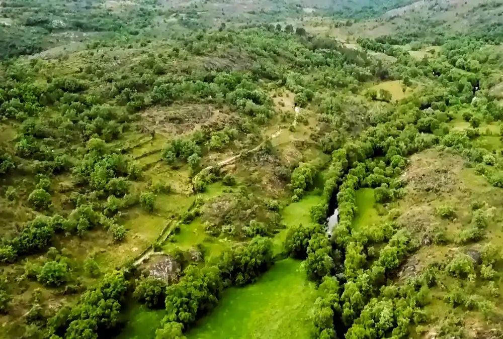 serra-da-malcata-guia-para-explorar-o-ref-gio-do-lince-ib-rico