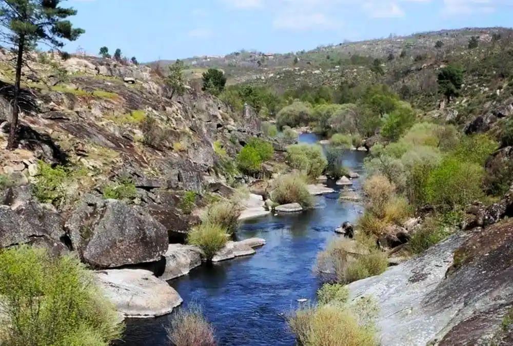 O Rio Côa fluindo entre grandes formações rochosas de granito com vegetação rasteira e arbustos ao amanhecer sob céu azul claro.