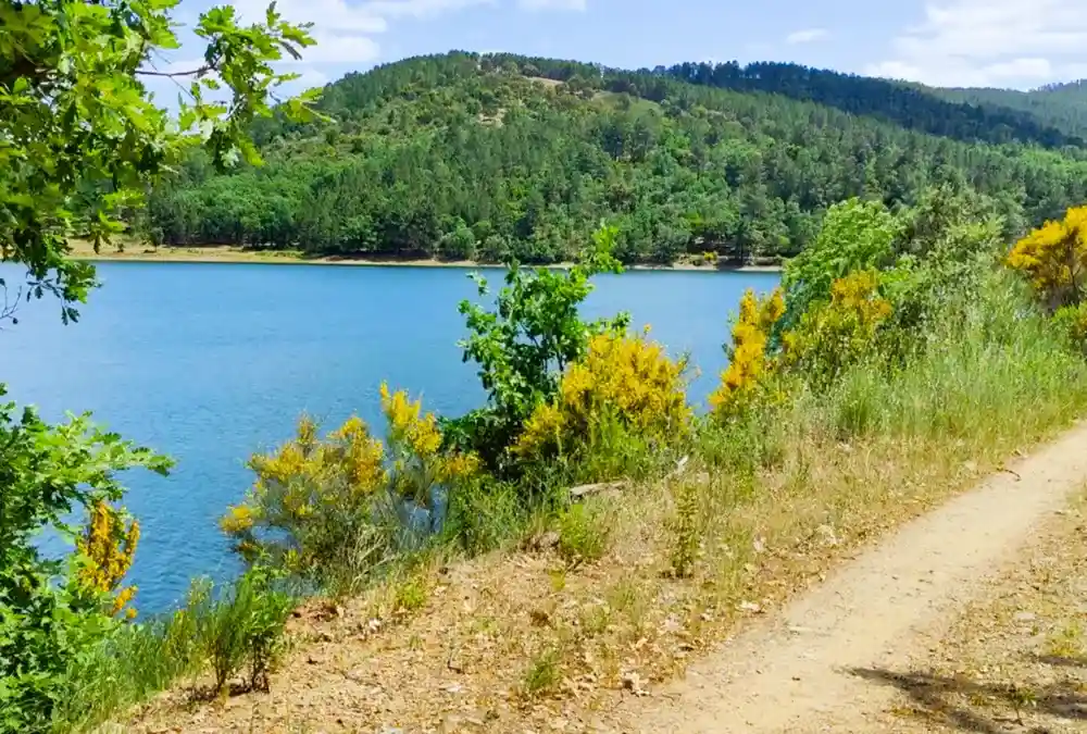 Trilho de terra batida ladeado por flores amarelas junto à margem de uma albufeira na Serra da Malcata.