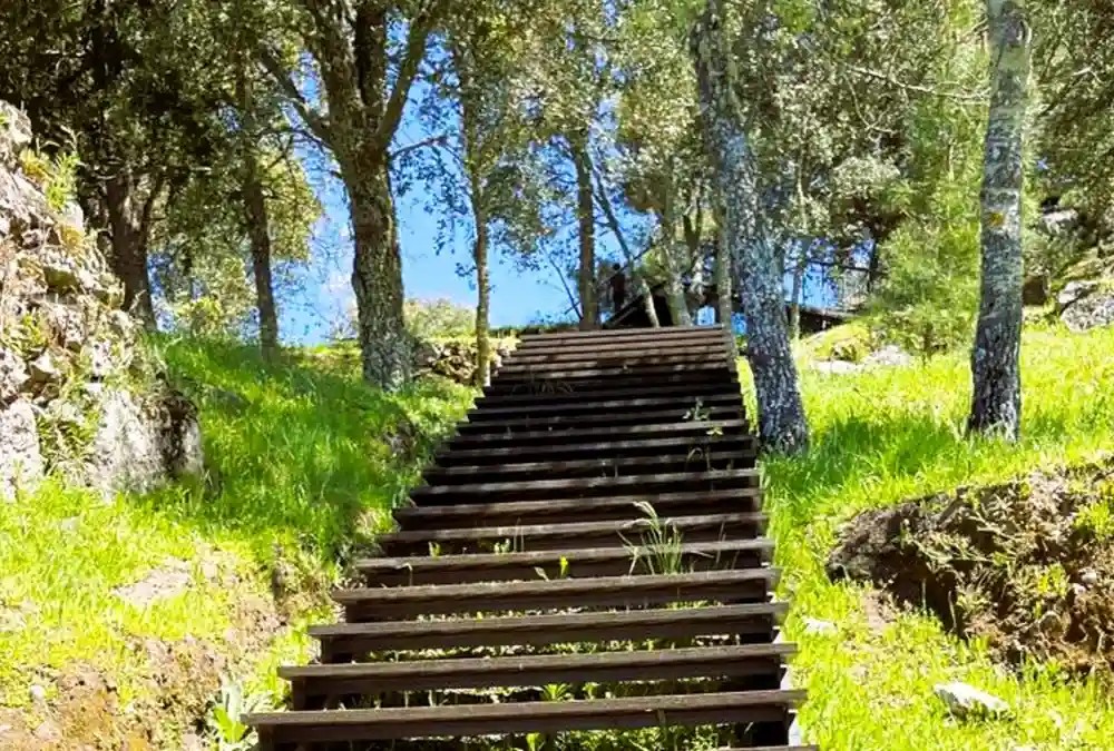 Passadiço de madeira com degraus integrado na encosta arborizada de Vila do Touro.