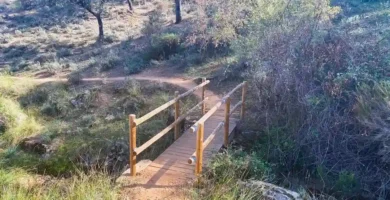 Fotografia em ângulo baixo de uma ponte pedonal rústica, feita de madeira clara, cruzando um pequeno ribeiro seco. O chão da ponte é de tábuas de madeira e os corrimãos são de postes de madeira redondos. Em primeiro plano, vegetação verde densa e gramíneas. Ao fundo, uma encosta íngreme e seca coberta de sobreiros e arbustos sob luz solar intensa.