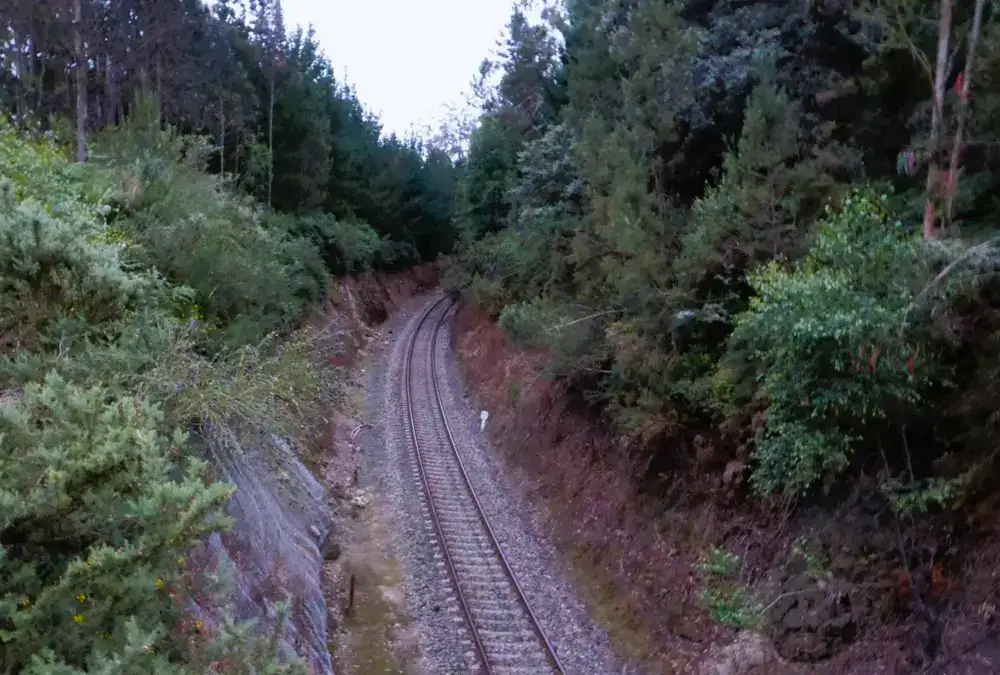 Antiga linha de comboio desativada cercada por vegetação densa, transformada em trilho de caminhada ou ecovia.