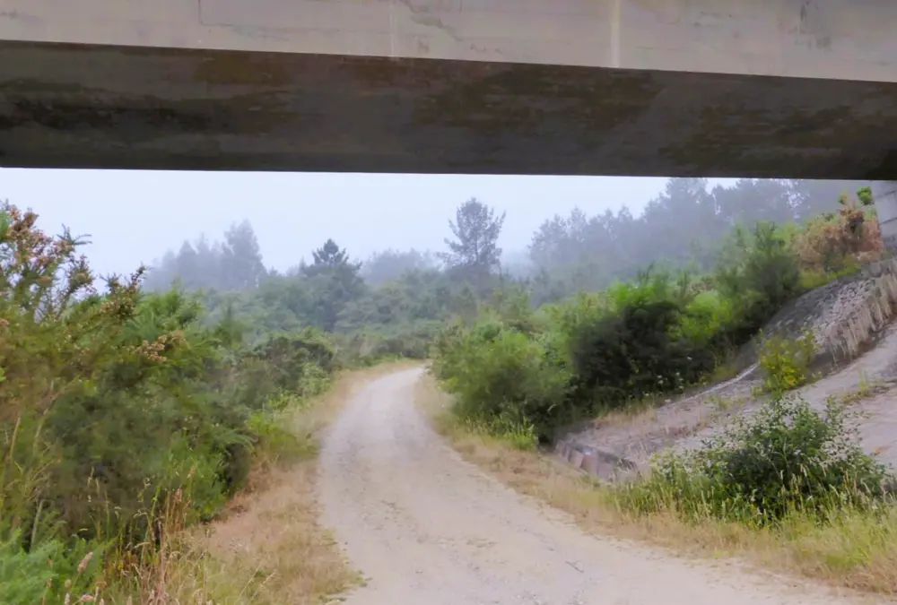 Caminho de terra batida passando por baixo de um viaduto, mostrando o contraste entre infraestrutura moderna e rotas rurais. O retrato perfeito do Turismo Sustentável nas Estradas Secundárias.