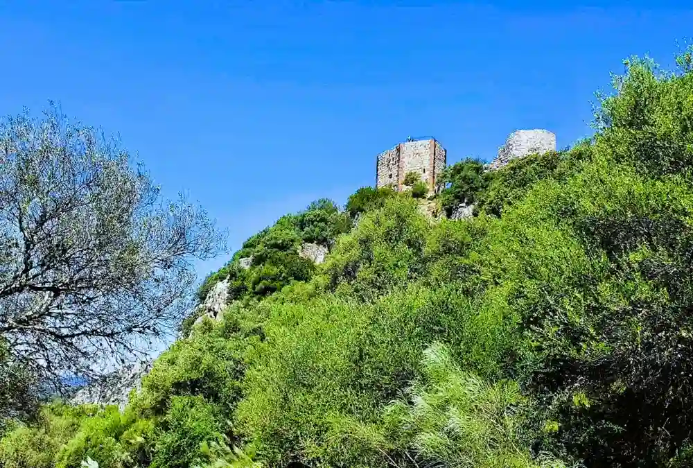 Fotografia em ângulo baixo mostrando a torre de menagem do Castelo de Monfragüe no topo de uma colina íngreme coberta por vegetação mediterrânica densa e verde. A torre de pedra escura contrasta com o céu azul intenso e sem nuvens. Uma oliveira velha está em primeiro plano à esquerda.