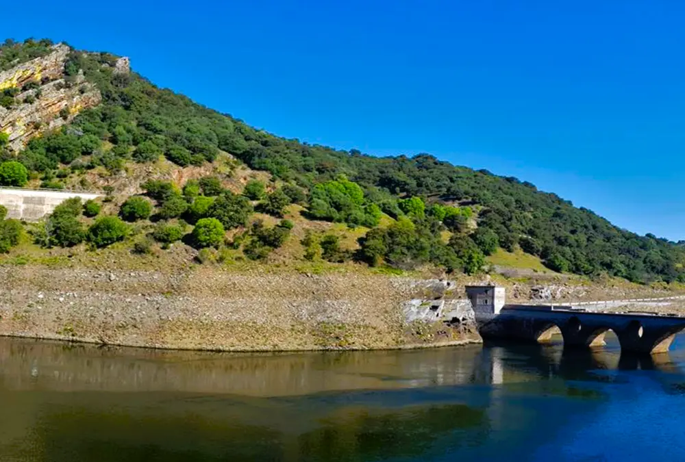 Fotografia em ângulo baixo de uma ponte de madeira e postes rústicos sobre um pequeno regato seco num terreno rochoso e de terra batida. A ponte está rodeada por vegetação rasteira e arbustos densos, com oliveiras e árvores no topo de uma encosta ao fundo. O sol brilha intensamente.