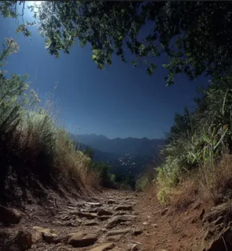 Trilho de terra entre vegetação densa, descendo para um vale iluminado pela lua, com montanhas ao fundo.