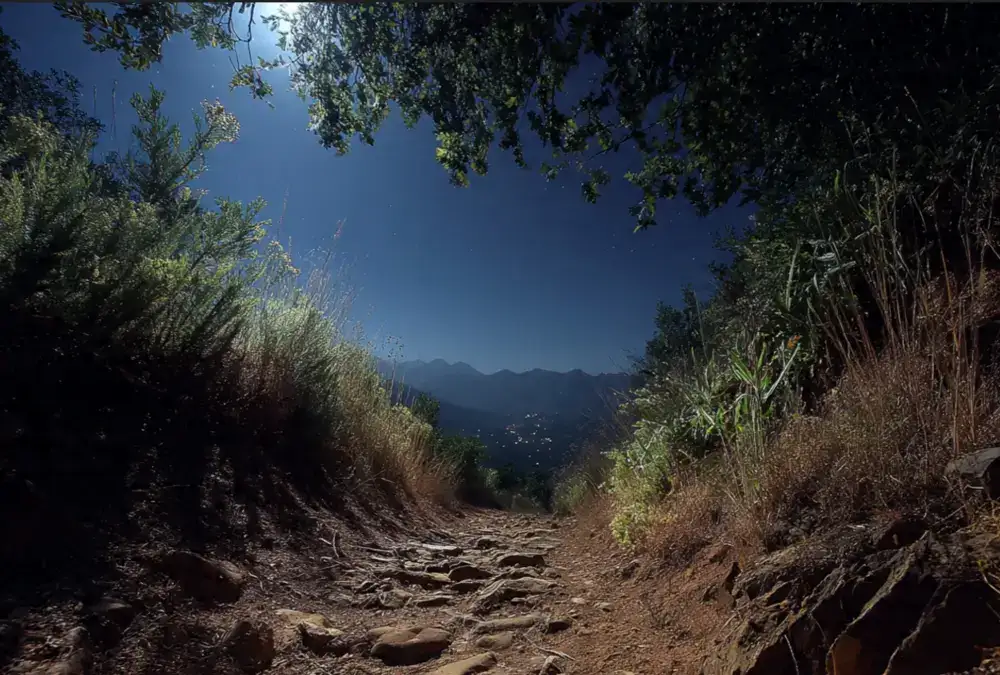 Trilho de terra entre vegetação densa, descendo para um vale iluminado pela lua, com montanhas ao fundo.