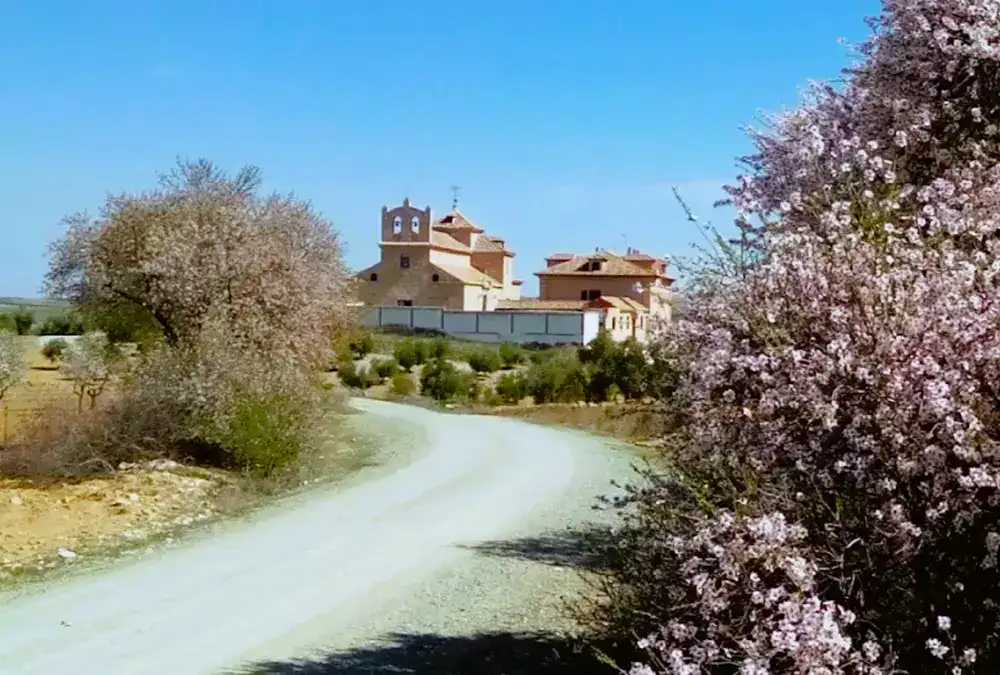 Ermida de la Virgen de la Oliva rodeada por amendoeiras em flor em Almonacid de Toledo.
